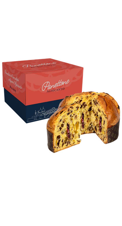 Pyragas Panettone su Agricanto likeriu
